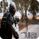 風(fēng)暴行動(dòng)