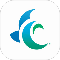 風(fēng)信子