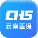 云南醫(yī)保服務(wù)平臺