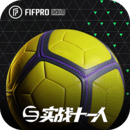 实战十一人