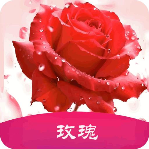 玫瑰