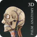 掌上3D解剖-解剖圖譜和課程