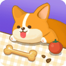 �������������߹ۿ�