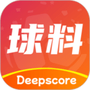 球料網(wǎng)-有球就有料