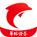 海豚