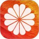 透明動態(tài)壁紙