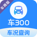 車300專業(yè)版