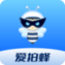 愛拍蜂