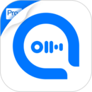 語音轉(zhuǎn)換文字