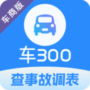 車300專業(yè)版