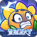 保衛(wèi)向日葵